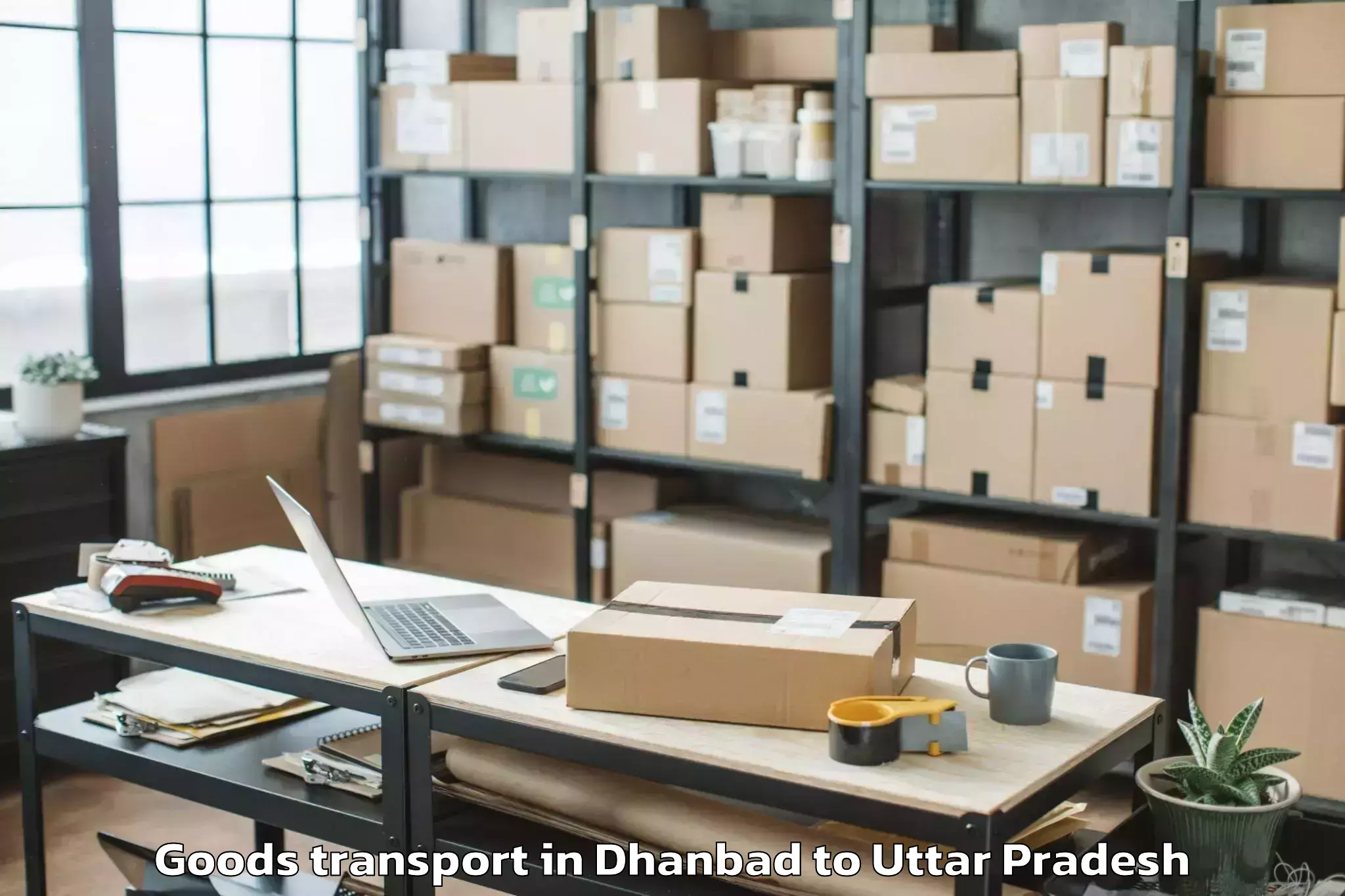 Book Dhanbad to Soraon Goods Transport